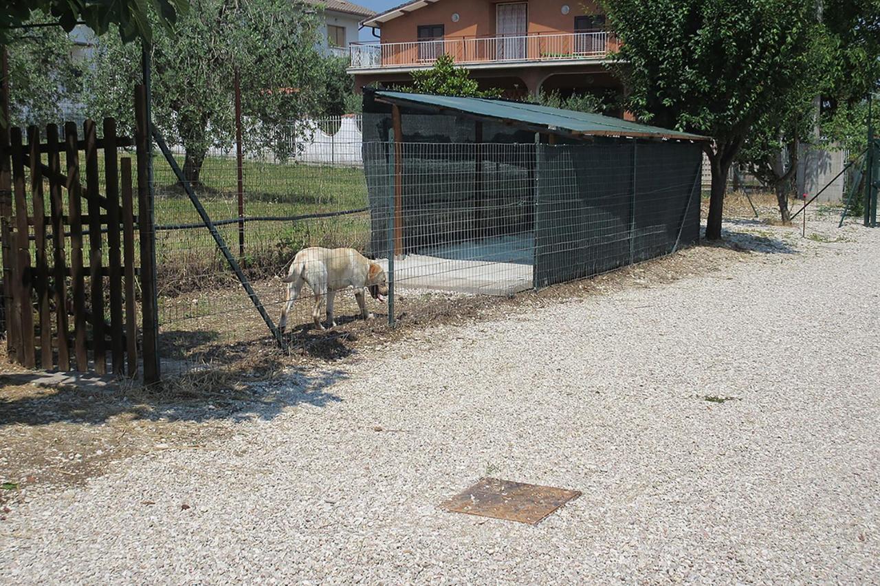Villa Degli Ulivi Lempa Buitenkant foto